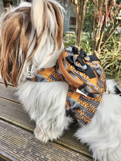 Peitoral Mochila Oncinha Grife para cachorro e gato - Estilo de Vida Pet