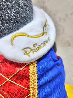 Vestido Peitoral Encanto de Neve para cachorro (acompanha guia) - comprar online