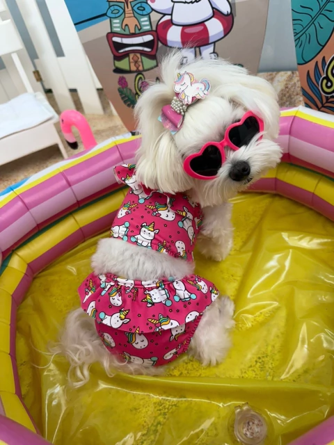 Biquini Unicórnio Pink para cachorro