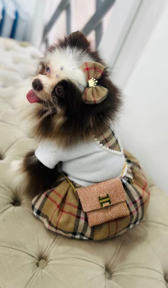 Vestido Off White e Xadrez Inspiração para cachorro e gato