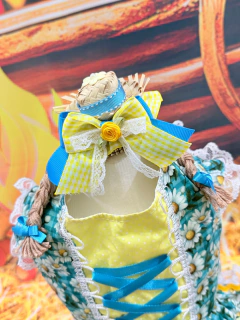 Imagem do Vestido Festa Junina Balancê para cachorro e gato