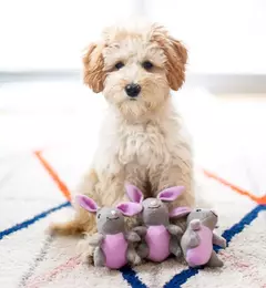 Pelúcia Interativa Zippy Paws Burrow - Cenoura e Coelhos - loja online