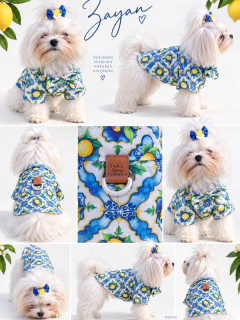 Camisa Siciliana para cachorro - comprar online
