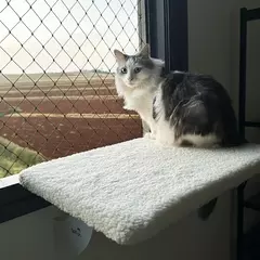 SpaceCat Juno Apollo - prateleira de janela para gato - comprar online