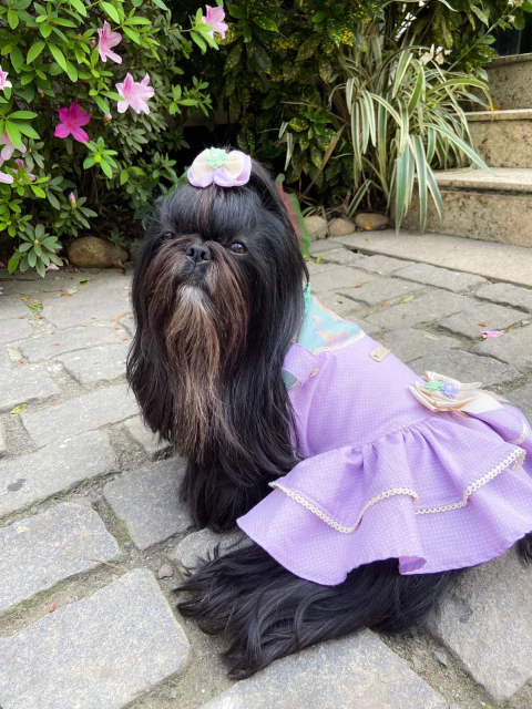 Jardineira Urso Poá Lavanda para cachorro e gato