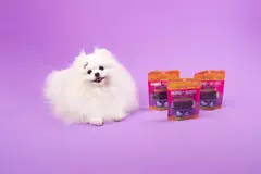 Petisco Natural WOW Moela de pato 50g para cães na internet