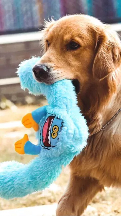 Pelúcia King Kong Super Braços Azul para cachorro