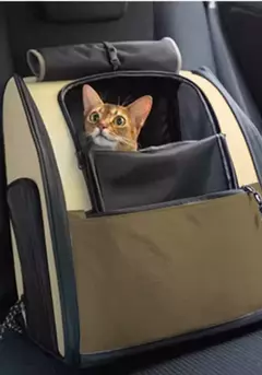 Mochila CAMP para transporte pet com abertura lateral - Estilo de Vida Pet