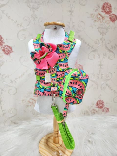 Peitoral Melancia com Porta Cata Caca para cachorro