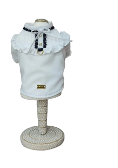 Blusa Renda Coração Branca para cachorro e gato na internet