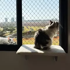 SpaceCat Juno Apollo - prateleira de janela para gato - loja online