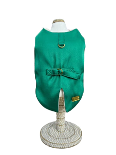 Imagem do Fraque Natal Lovely Verde para cachorro e gato