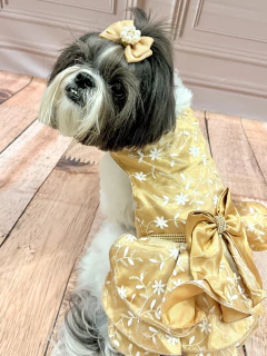 Vestido de Festa Flores Dourado para Cachorro e Gato na internet