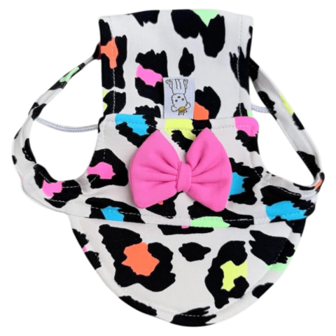 Boné Oncinha Colorida para cachorro e gato