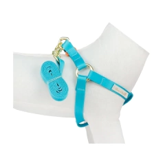 Peitoral Americano Seda Azul Piscina para cachorro