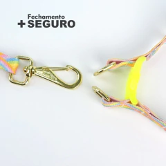 Peitoral Americano Seda Arco Íris para cachorro - comprar online