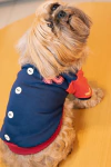 Moletom Colegial para cachorro e gato