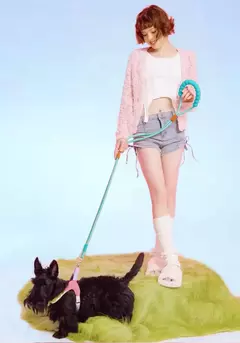Guia Longa Bubble 2 em 1 para cachorro - Verde - Estilo de Vida Pet