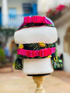 Peitoral Limão Siciliano para cachorro e gato - comprar online