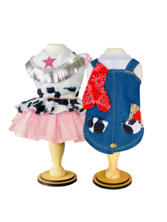 Roupinha Cowboy Festa Junina para cachorro e gato - loja online