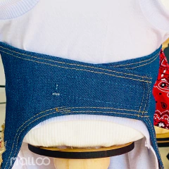 Roupinha Cowboy Festa Junina para cachorro e gato na internet