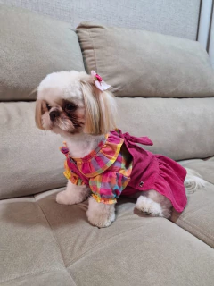 Blusinha Pet Gola Boneca Xadrez Pink para cachorro e gato - comprar online