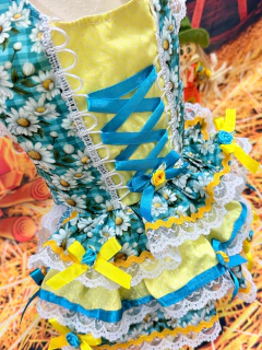 Vestido Festa Junina Balancê para cachorro e gato - comprar online