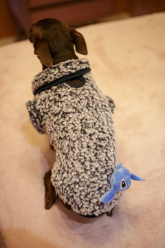 Casaco Pelúcia Teddy Marinho Stitch para cachorro e gato