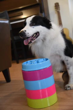 Comedouro Empilhável Ergonômico para cachorro e gato