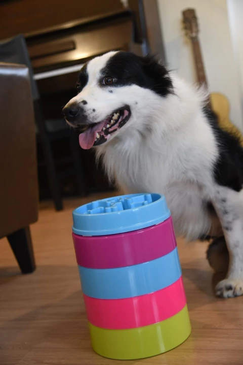 Comedouro Empilhável Ergonômico para cachorro e gato