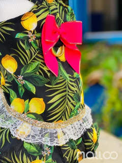 Jardineira Limão Siciliano para cachorro e gato na internet