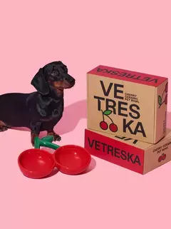 Imagem do Comedouro Duplo em Cerâmica Cereja VETRESKA