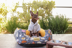 Casaco Pele de Urso Cinza para cachorro e gato - Estilo de Vida Pet