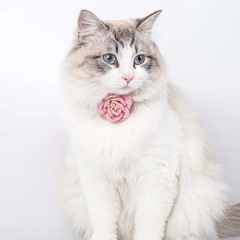 Coleira Flores Ajustável para cachorro e gato - Estilo de Vida Pet