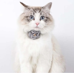 Imagem do Coleira Flores Ajustável para cachorro e gato