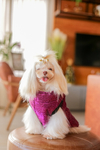 Colete Puffer Star Pink para cachorro e gato
