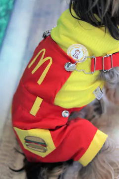 Jardineira MC Masculina para cachorro e gato - comprar online
