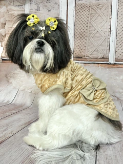 Casaco Bubble Gold Lacinhos para cachorro e gato