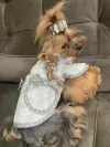 Casaco Pele de Urso Lacinhos Cinza para cachorro e gato