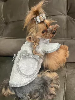 Casaco Pele de Urso Lacinhos Cinza para cachorro e gato
