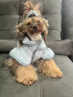Imagem do Casaco Pele de Urso Lacinhos Cinza para cachorro e gato