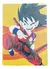 DIAMOND PAINTING DRAGON BALL Z - SL8031 (CS123)