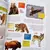 ATLAS DE ANIMALES CON STICKERS ARTEMISA (DK590) en internet