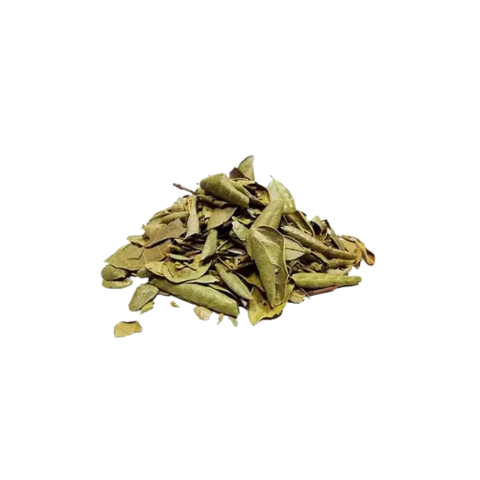 Boldo do Chile (50g)