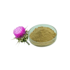 Cardo Mariano em Pó (20g)
