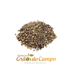 Cardo Mariano Sementes (20g) - comprar online