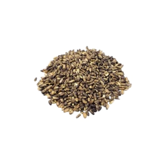 Cardo Mariano Sementes (20g)