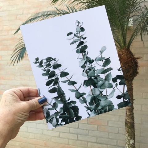 Quadro Folhas Fí
