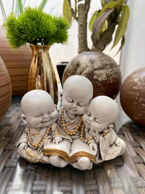 Budinhas lendo branco