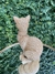 Gatinho Otto - Home For You
